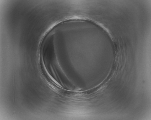 X0000070251367200606161901