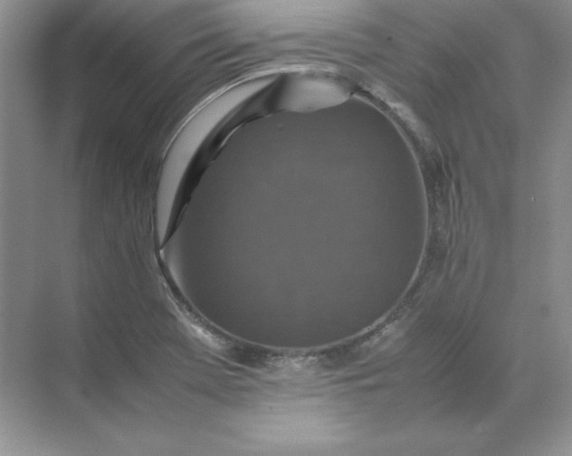 X0000070251369200606161901