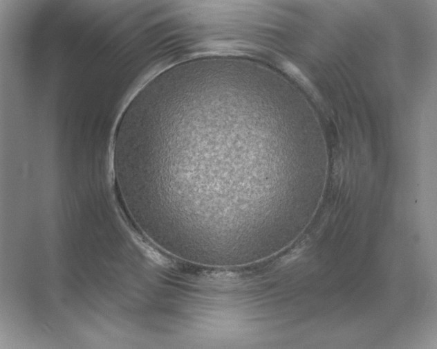 X0000070251370200606161901