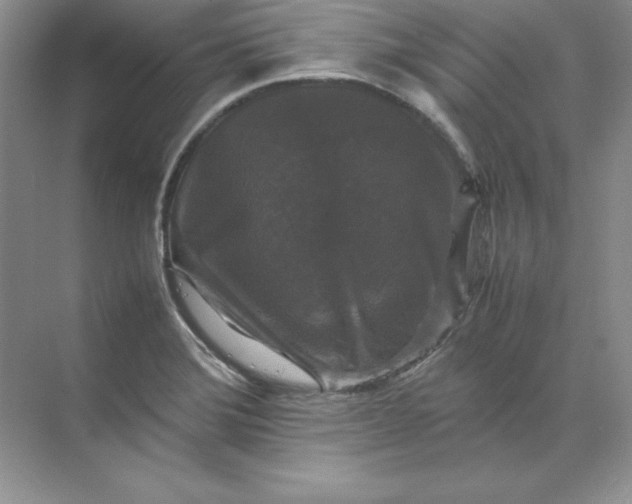 X0000070251372200606161901