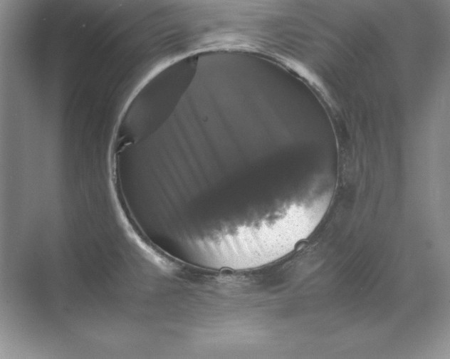 X0000070251383200606161900
