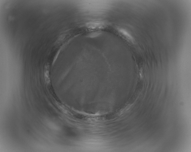 X0000070251396200606161900
