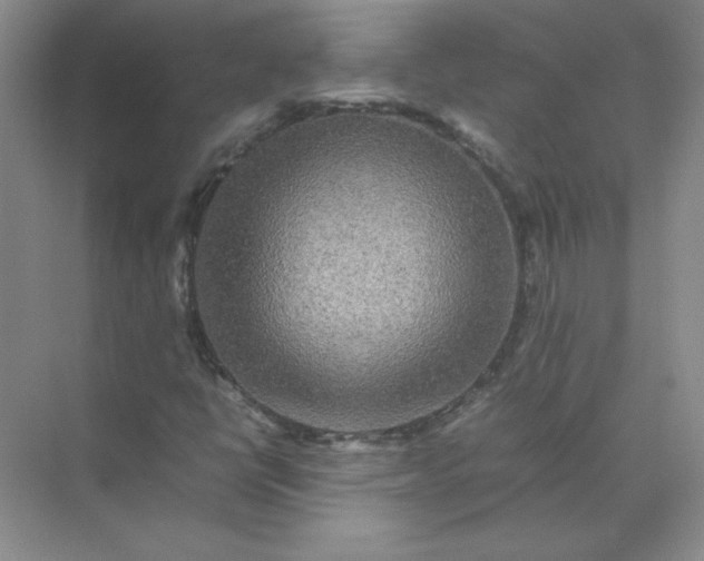 X0000070251398200606161900