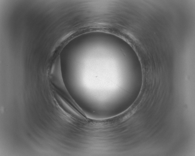 X0000070251402200606161900
