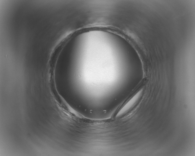 X0000070251406200606161900