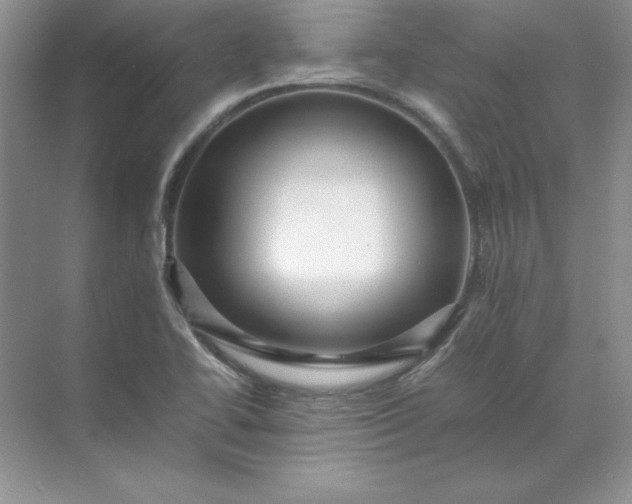 X0000070251414200606161900