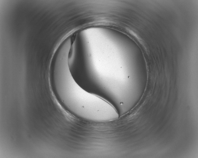 X0000070251418200606161900