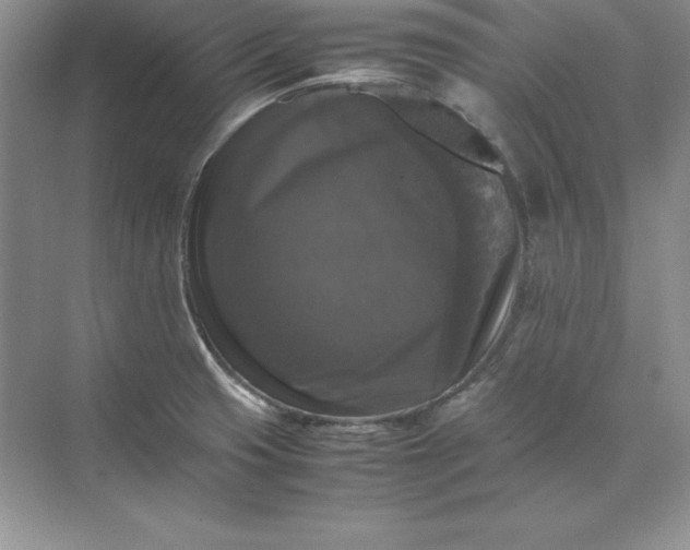 X0000070251425200606161900