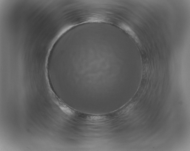 X0000070251427200606161900