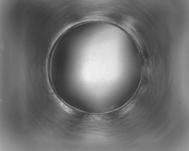 X0000070251438200606161900