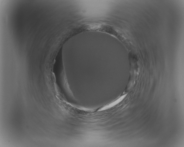 X0000070251441200606161859