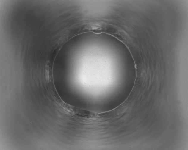 X0000070251442200606161859