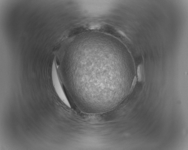 X0000070251443200606161859