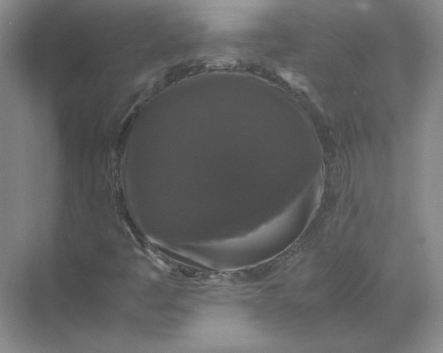 X0000070251445200606161859