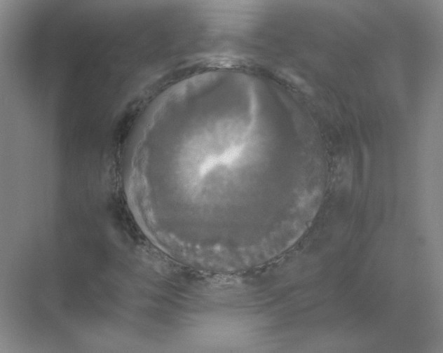 X0000070251446200606161859