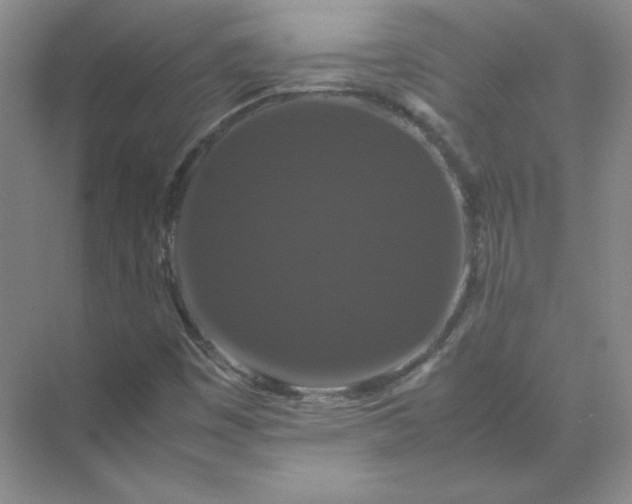 X0000070251449200606161859