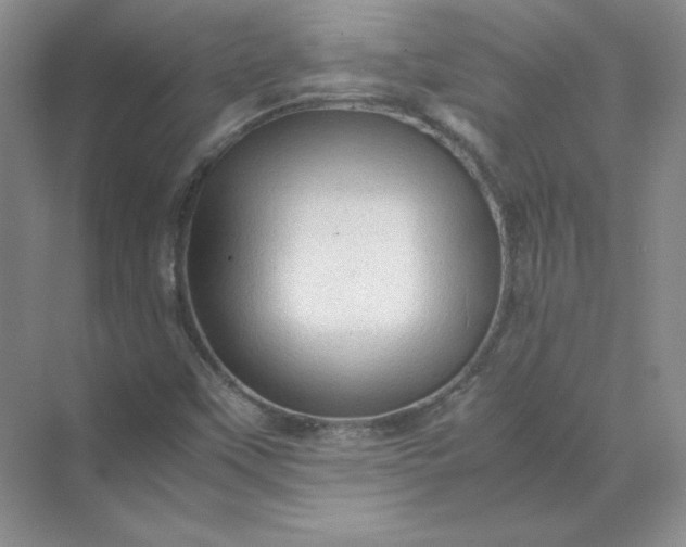 X0000070251451200606161859