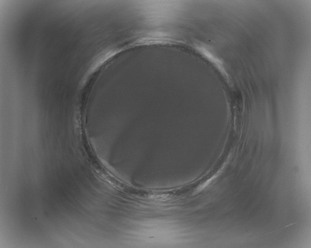 X0000070251453200606161859
