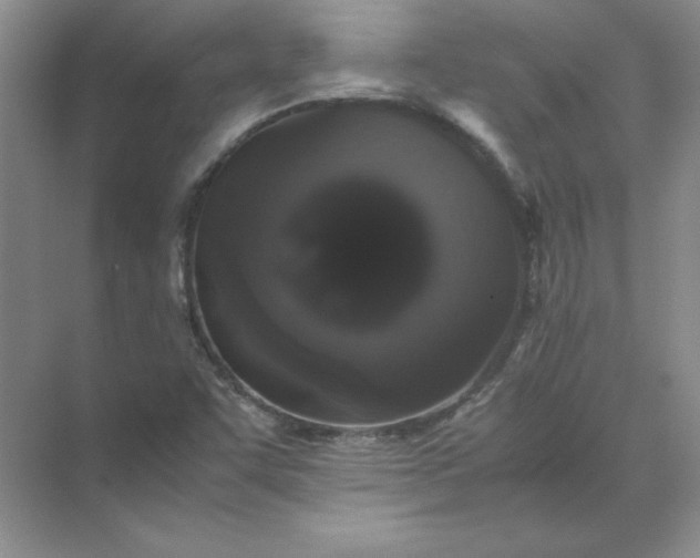 X0000070251455200606161859