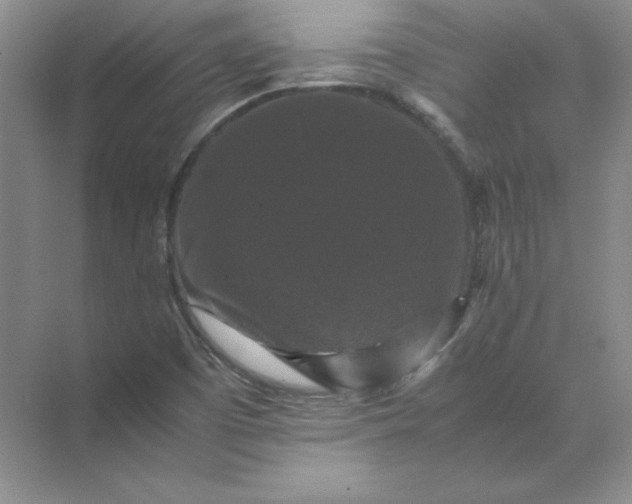 X0000070251457200606161859