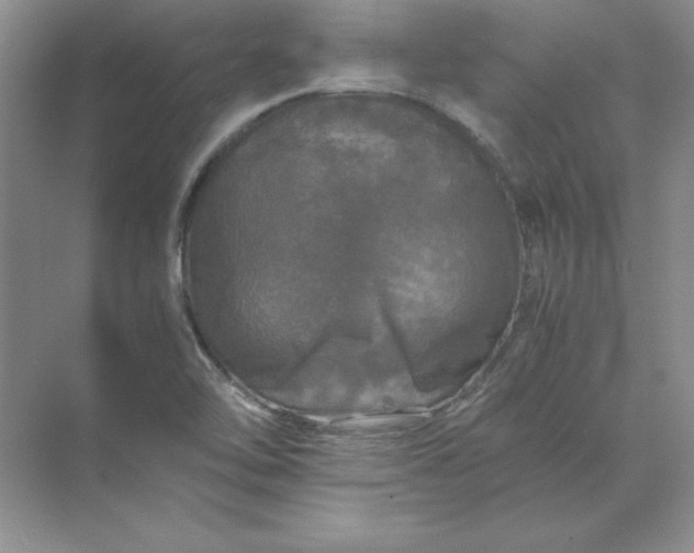 X0000070251462200606161859