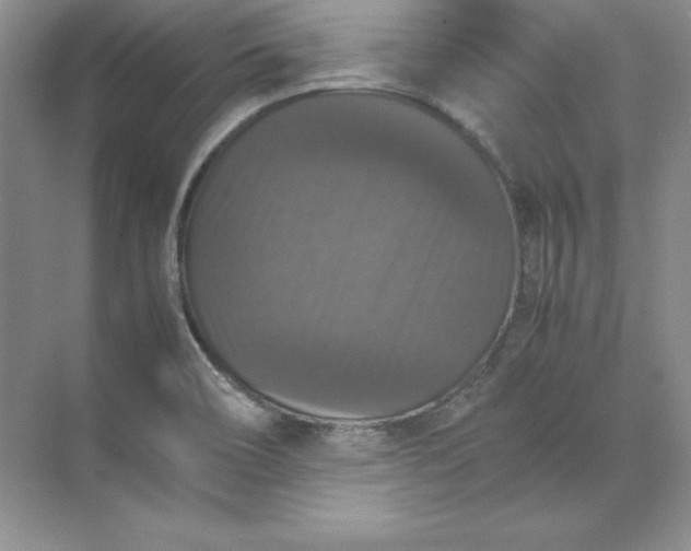 X0000070251466200606161859