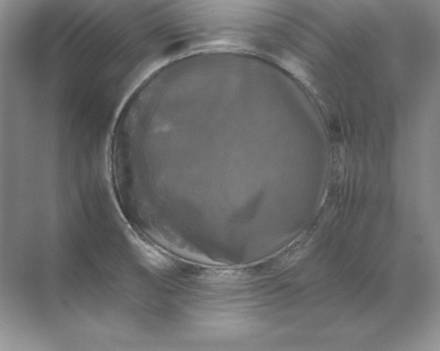 X0000070251474200606161859