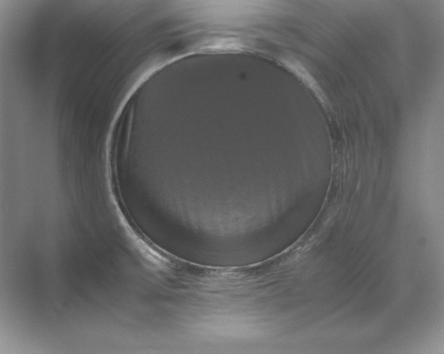 X0000070251475200606161859