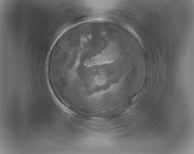 X0000070251483200606161859