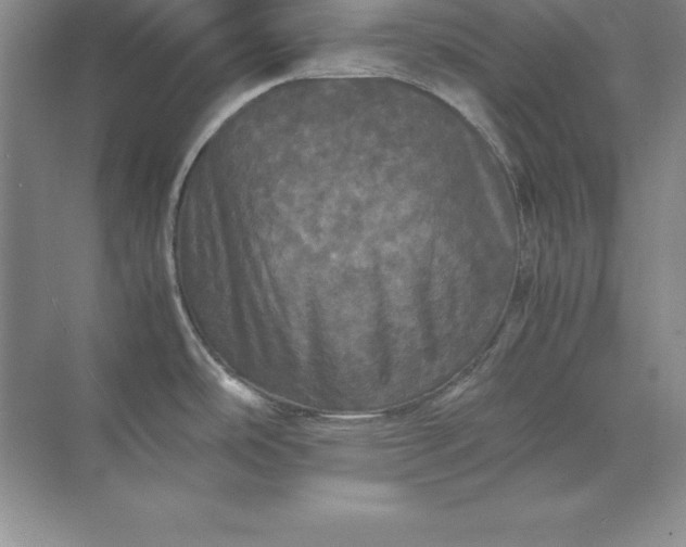 X0000070251486200606161859