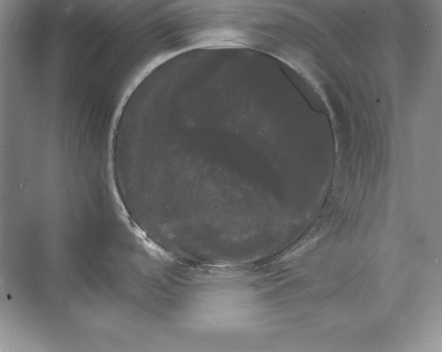 X0000070251488200606161859