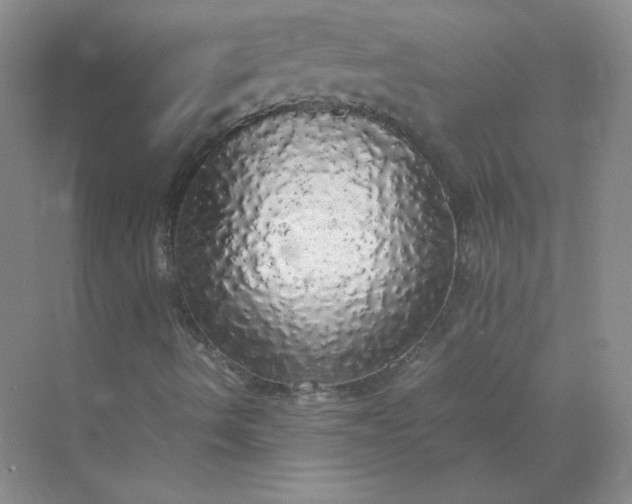 X0000070251490200606161858