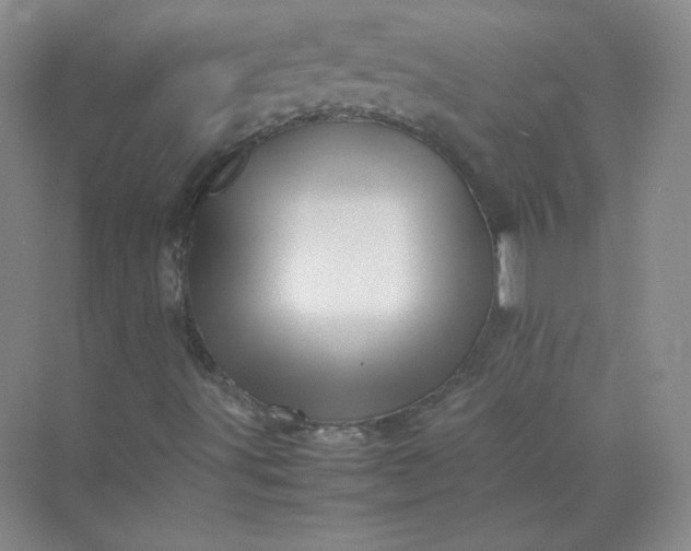 X0000070251491200606161858