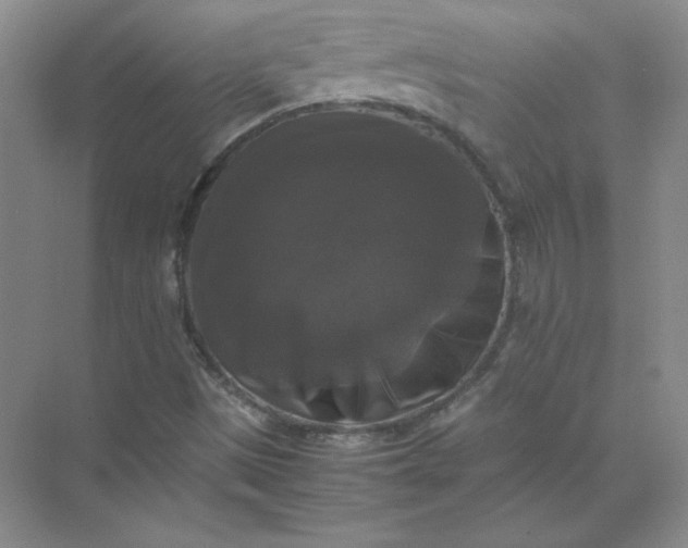 X0000070251497200606161858
