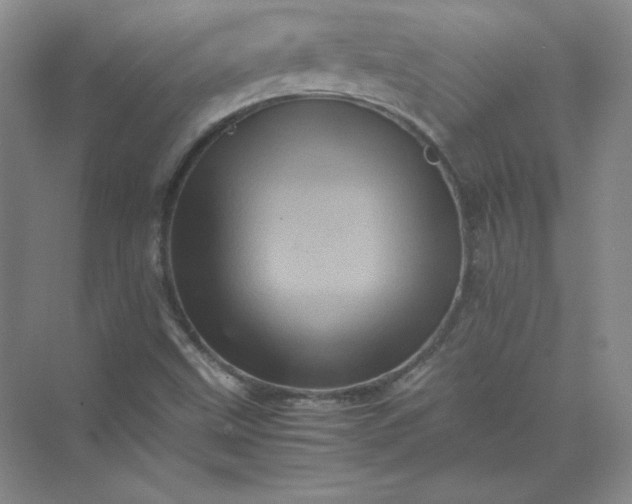 X0000070251499200606161858