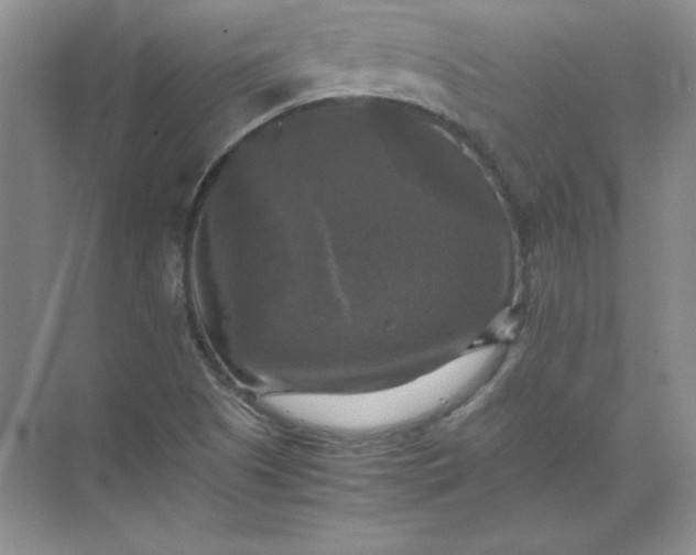 X0000070251505200606161858