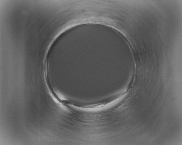 X0000070251515200606161858
