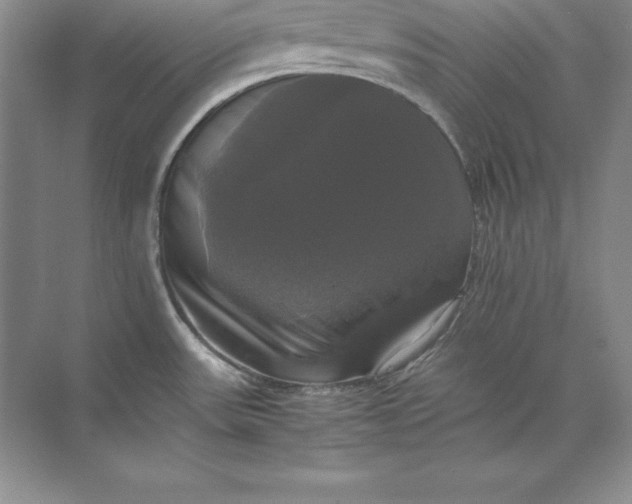 X0000070251531200606161859