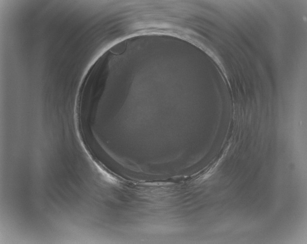 X0000070251533200606161859