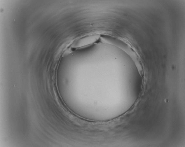 X0000070250001200606232019