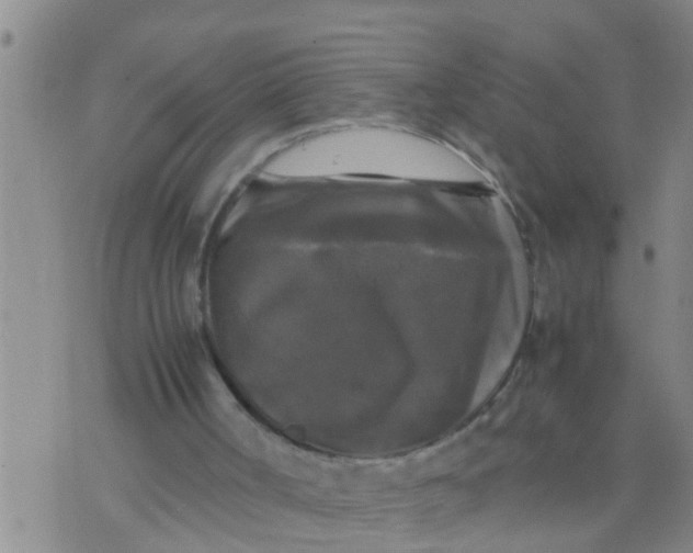 X0000070250002200606232019