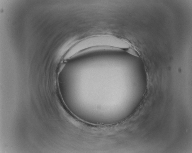 X0000070250005200606232019