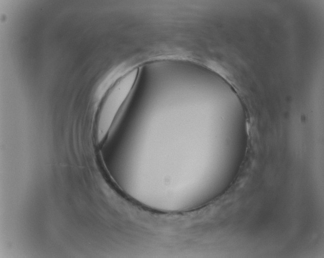 X0000070250007200606232019