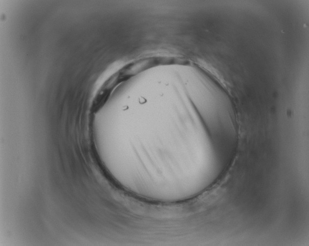 X0000070250008200606232019