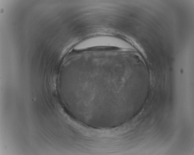 X0000070250010200606232019