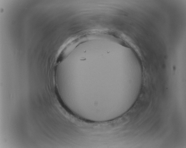 X0000070250011200606232019