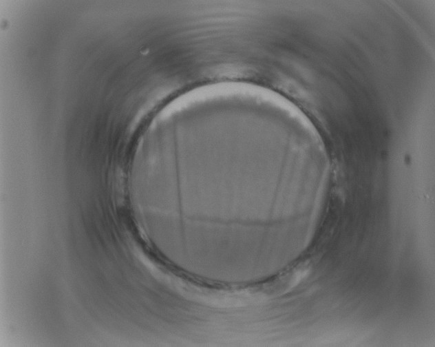 X0000070250012200606232019