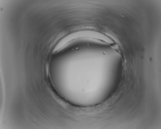 X0000070250013200606232019