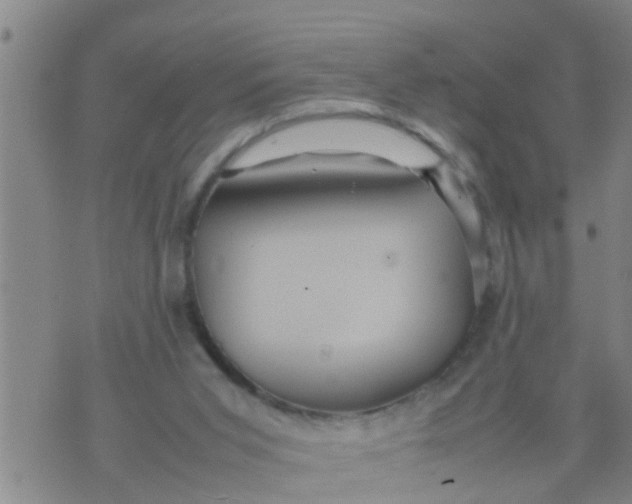 X0000070250015200606232019