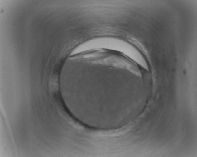 X0000070250017200606232019